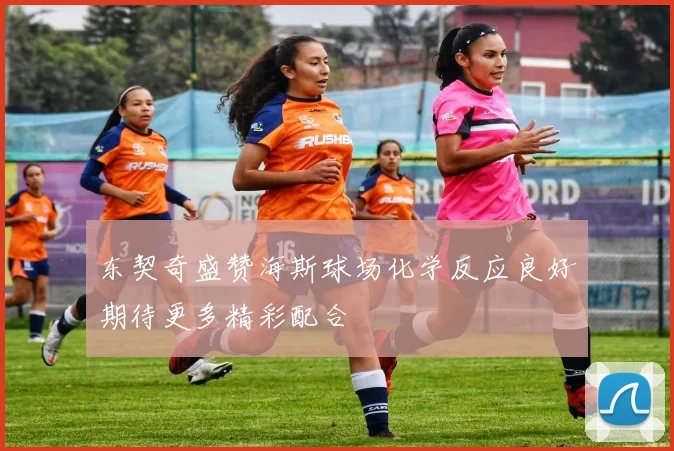 东契奇盛赞海斯球场化学反应良好期待更多精彩配合